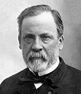 Louis_Pasteur