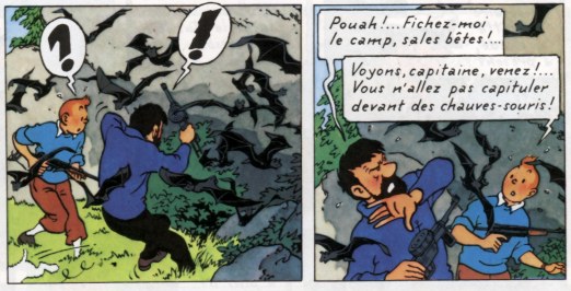 tintin chauves souris