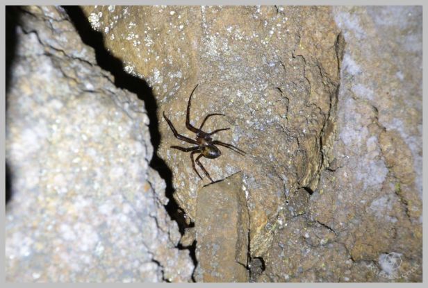 under-castle-rurbex-urbex-underground-grotte-10