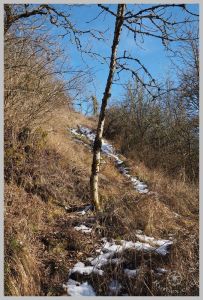 under-castle-rurbex-urbex-underground-grotte-51